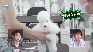 Home Alone Ep 647 Recap: Sick But Unstoppable Kim Shin Young