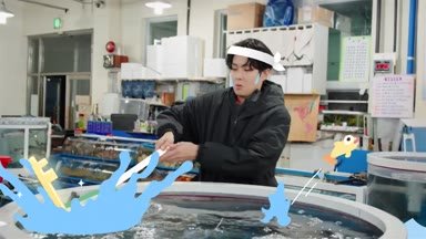 Unplanned Trip Limited Edition Episode 3: Namwon to Boseong Green Tea Adventure (Full Recap)